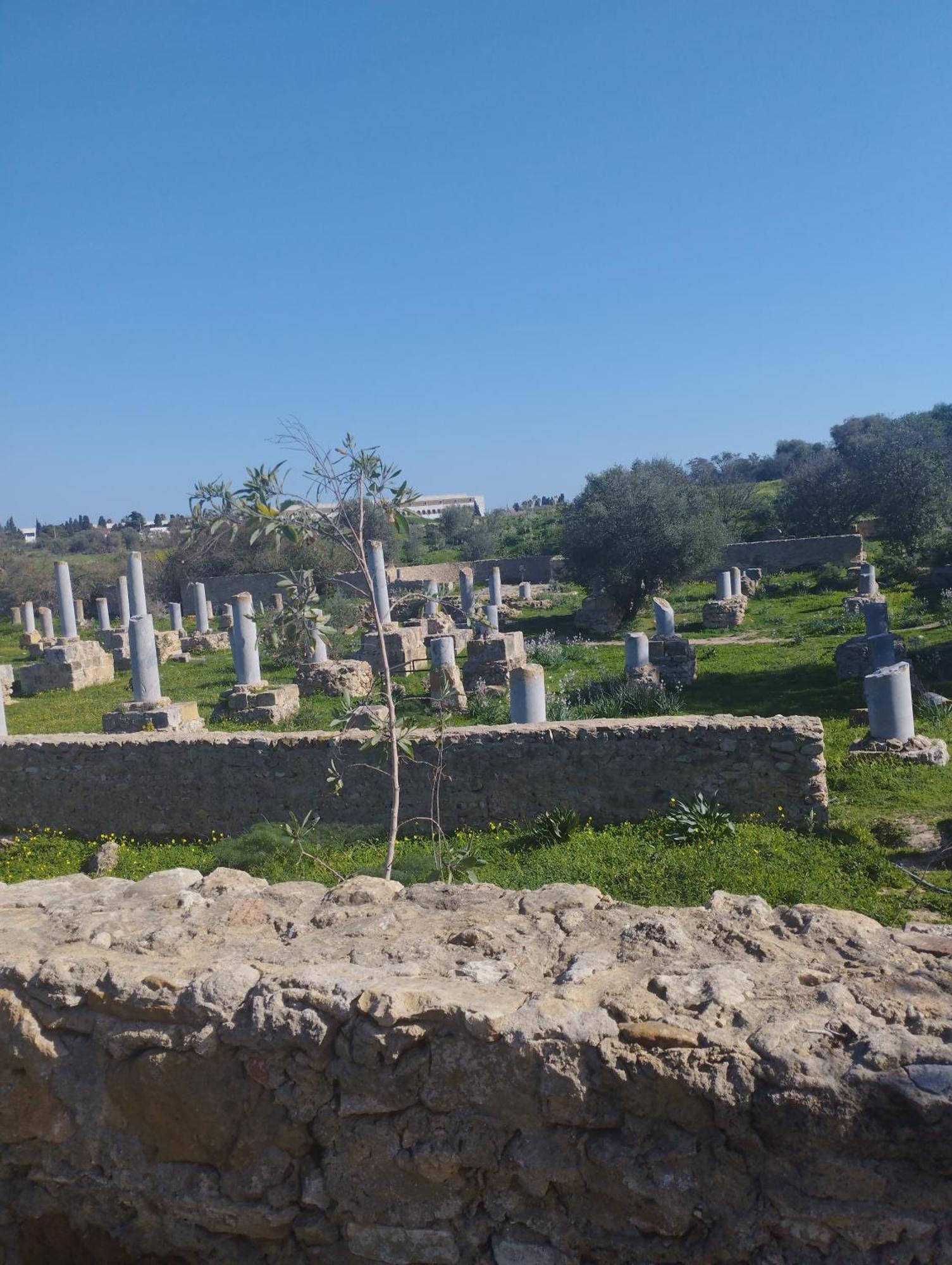 Appartement 2 A Carthage Byrsa Douar ech Chott Eksteriør billede
